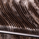 THE WINTER HAIR SURVIVAL GUIDE