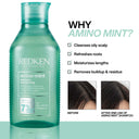 RedKen Amino-Mint Scalp Shampoo